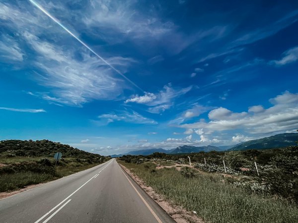 What are the precise steps to remove and replace the alternator on a Triumph Tiger 1200?