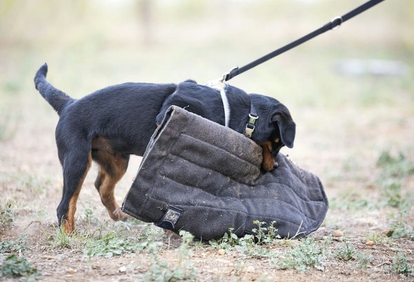 What are the steps to ensure the airbags in your vehicle are functioning correctly?